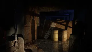 The House She Haunts
