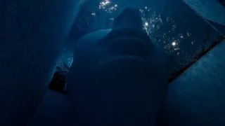 Скриншот 8 к игре Aquachamber