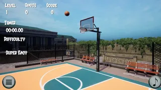 Big Flip Basketball