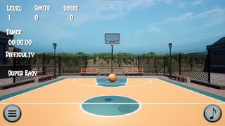 Big Flip Basketball
