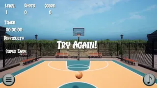 Big Flip Basketball