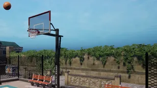 Big Flip Basketball