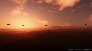 Into the Dawn