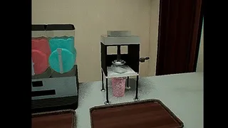 The shaved ice shop