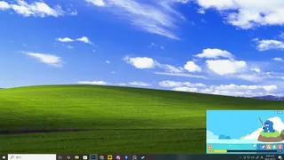 Desktop Fishing Cat
