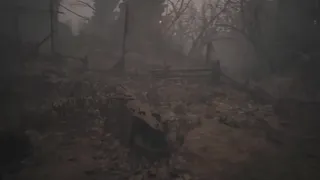Contract of Ashes