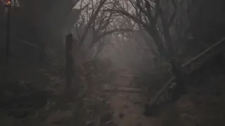 Contract of Ashes