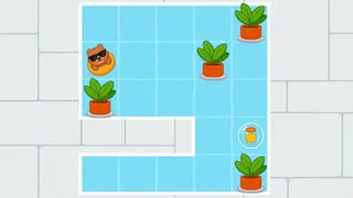 Poolar Bear