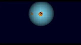 Poolar Bear
