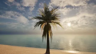Скриншот к игре Palm Simulator 2 Palm Simulator 2