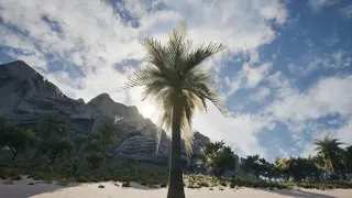 Скриншот к игре Palm Simulator 2 Palm Simulator 2