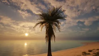Скриншот к игре Palm Simulator 2 Palm Simulator 2