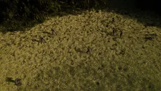 WAR!