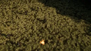 WAR!