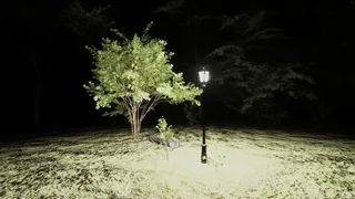 Forest of Fear - Into the Woods
