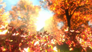 紅葉の泣き声