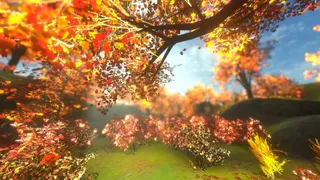 紅葉の泣き声