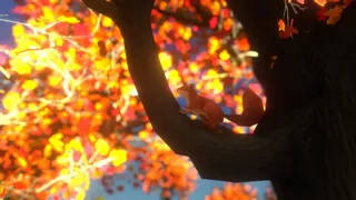 紅葉の泣き声