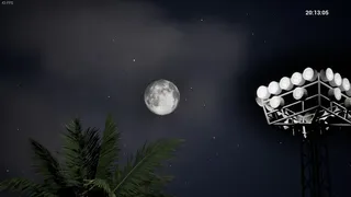 Beach Life Simulator