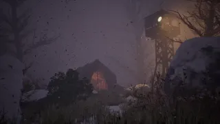 Shadow Of Winter