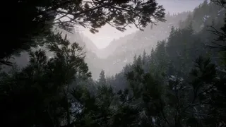 Shadow Of Winter