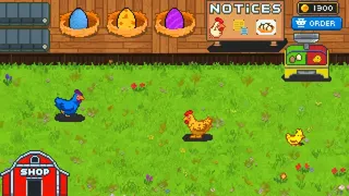 Rainbow Chickens