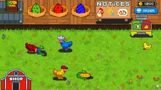 Rainbow Chickens