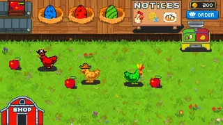 Rainbow Chickens
