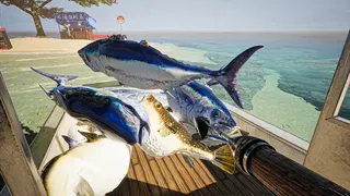 Скриншот 5 к игре UMIGARI | ウミガリ