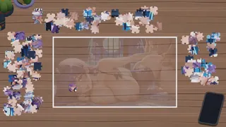 Where’s My Lewd Jigsaws?
