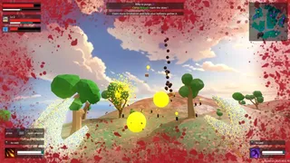 Flying Wizards