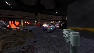 幸存者:枪火(Survivor: Gunfire)