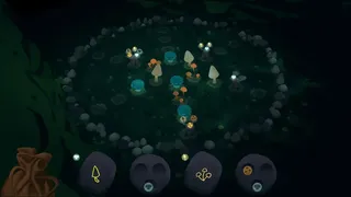 Fairy Circle