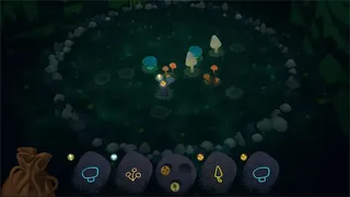 Fairy Circle