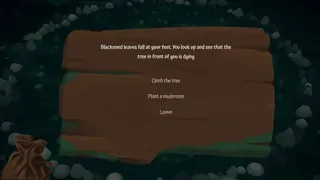 Fairy Circle