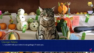 Скриншот 7 к игре Cat President: 3rd-Rate Candidate