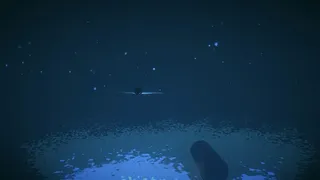 Bunker Protocol