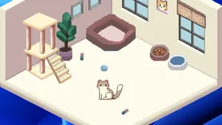 Cozy Cat