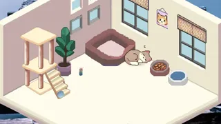 Cozy Cat