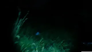 Get Them To Safety