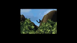 Birdwatching
