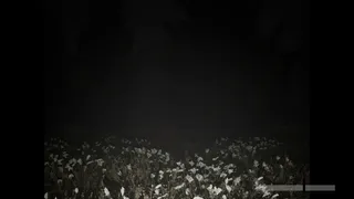 Wildervan Files