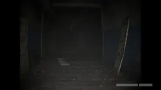 Wildervan Files