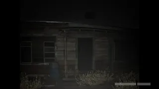 Wildervan Files
