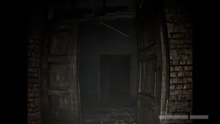 Wildervan Files