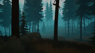 Into The Wilderness