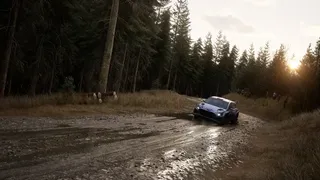Скриншот 8 к игре Assetto Corsa Rally