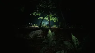 Skinwoods: The Full Cut