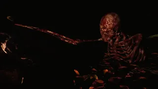 Skinwoods: The Full Cut