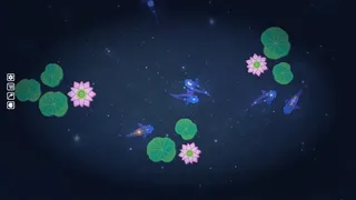 Whimsy Koi
